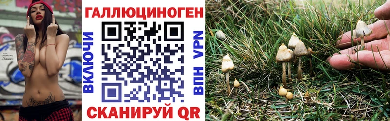 blacksprut Крымск Псилоцибиновые грибы мицелий